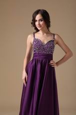 Purple Custom Made Elegant Woman Evening Celebrity Dress