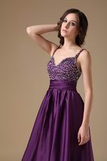 Purple Custom Made Elegant Woman Evening Celebrity Dress