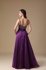 Purple Custom Made Elegant Woman Evening Celebrity Dress