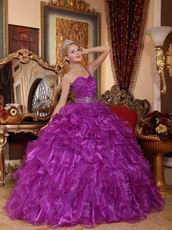 Purple Single One Shoulder Neck Puffy Military Ball Gown