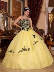 Yellow Embroidery Quinceanera Gown With Handmade Flowers