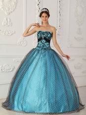 Pretty Dotted Tulle Fabric Prom Ball Gown With Black Applique