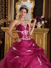 Ruby Strapless Floor Length Ball Dress To Military Party