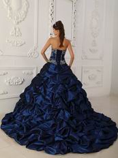 Chapel Train Skirt Dark Blue Quinceanera Dress Winter Wear