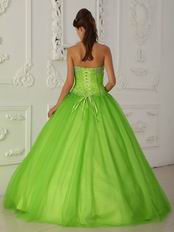 A-line Spring Green Tulle Quinceanera Dress By Designer