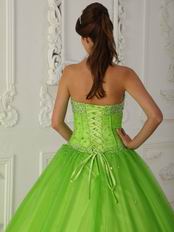 A-line Spring Green Tulle Quinceanera Dress By Designer