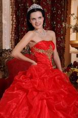 Scarlet Red Skirt With Petticoat Quinceanera Dress Supplier