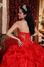 Scarlet Red Skirt With Petticoat Quinceanera Dress Supplier