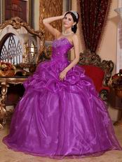 Discount Purple Quinceanera Dress For Winter Party Wear