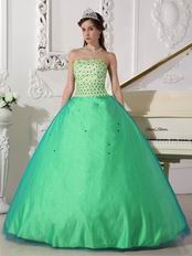 Apple Green Sweetheart Dress 2019 Tulle Spring Quinceanera Party