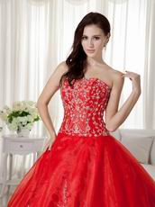 Scarlet Organza Skirt Princess Ball Gown With Embroidery