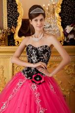 Applique Bodice Sweetheart Hot Pink Petite Quinceanera Dress