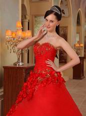 Stylish Side Handmade Flowers Trimed Quinceanera Dress