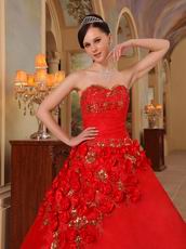 Stylish Side Handmade Flowers Trimed Quinceanera Dress