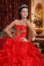 Scarlet Red Skirt With Petticoat Quinceanera Dress Supplier