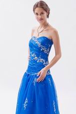 Pretty Ultramarine Organza Floor Length Prom Dress With Embriodery