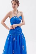 Pretty Ultramarine Organza Floor Length Prom Dress With Embriodery