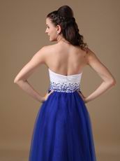 Sweetheart Floor Length Royal Blue Tulle Dress For Evening