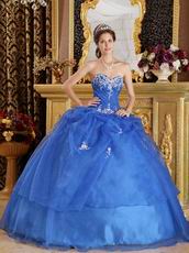 Blue Organza Appliqued Winter Quinceanera Dress Sweetheart