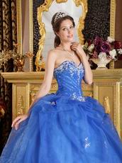 Blue Organza Appliqued Winter Quinceanera Dress Sweetheart