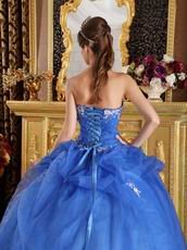 Blue Organza Appliqued Winter Quinceanera Dress Sweetheart