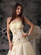 Champagne Strapless Organza Prom Dress With Golden Embroidery Inexpensive