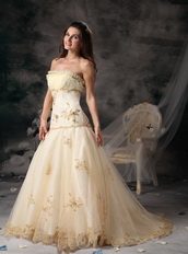 Champagne Strapless Organza Prom Dress With Golden Embroidery Inexpensive