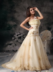Champagne Strapless Organza Prom Dress With Golden Embroidery Inexpensive
