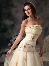 Champagne Strapless Organza Prom Dress With Golden Embroidery Inexpensive