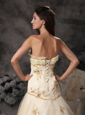 Champagne Strapless Organza Prom Dress With Golden Embroidery Inexpensive