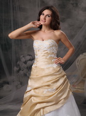 Champagne And White A-line Prom Dress With Appliques Inexpensive