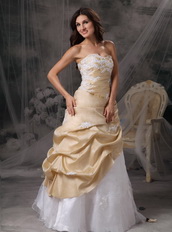 Champagne And White A-line Prom Dress With Appliques Inexpensive