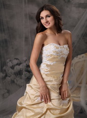 Champagne And White A-line Prom Dress With Appliques Inexpensive