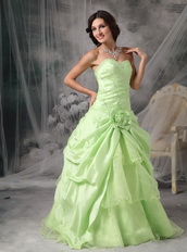 Apple Green A-line Embroidery Prom Dress Cheap Price Inexpensive