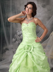 Apple Green A-line Embroidery Prom Dress Cheap Price Inexpensive