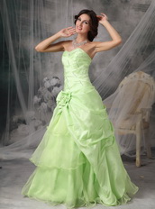 Apple Green A-line Embroidery Prom Dress Cheap Price Inexpensive