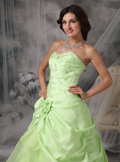 Apple Green A-line Embroidery Prom Dress Cheap Price Inexpensive