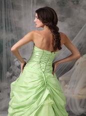 Apple Green A-line Embroidery Prom Dress Cheap Price Inexpensive