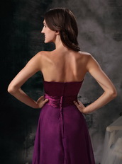 Empire Silhouette Long Purple Chiffon Stylish Prom Dress Inexpensive