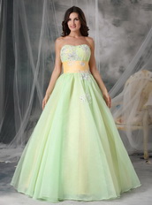 Lovely Organza Appliqued Light Kelly Prom Dress With Belt Inexpensive