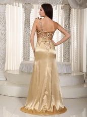 Golden One Shoulder Special Occasion Prom Dress With Leopard Inexpensive