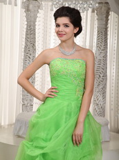 Spring Green Strapless Prom Dress Made By Organza Low Price Inexpensive