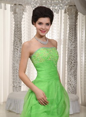 Spring Green Strapless Prom Dress Made By Organza Low Price Inexpensive