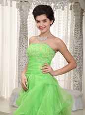 Spring Green Strapless Prom Dress Made By Organza Low Price Inexpensive