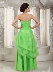 Spring Green Strapless Prom Dress Made By Organza Low Price Inexpensive