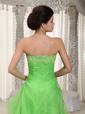 Spring Green Strapless Prom Dress Made By Organza Low Price Inexpensive