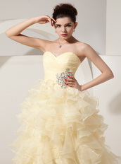 Light Yellow Organza Prom Dress With Princess Skirt Long Inexpensive