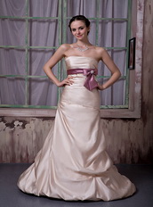 Champagne Strapless Celebrity Party Dress With Lilac Ribbon Inexpensive