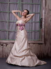 Champagne Strapless Celebrity Party Dress With Lilac Ribbon Inexpensive