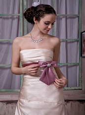 Champagne Strapless Celebrity Party Dress With Lilac Ribbon Inexpensive
